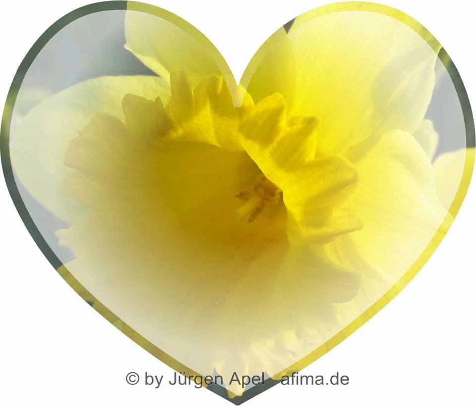 Graphic representation of an artistic and colorful heart with a yellow flower