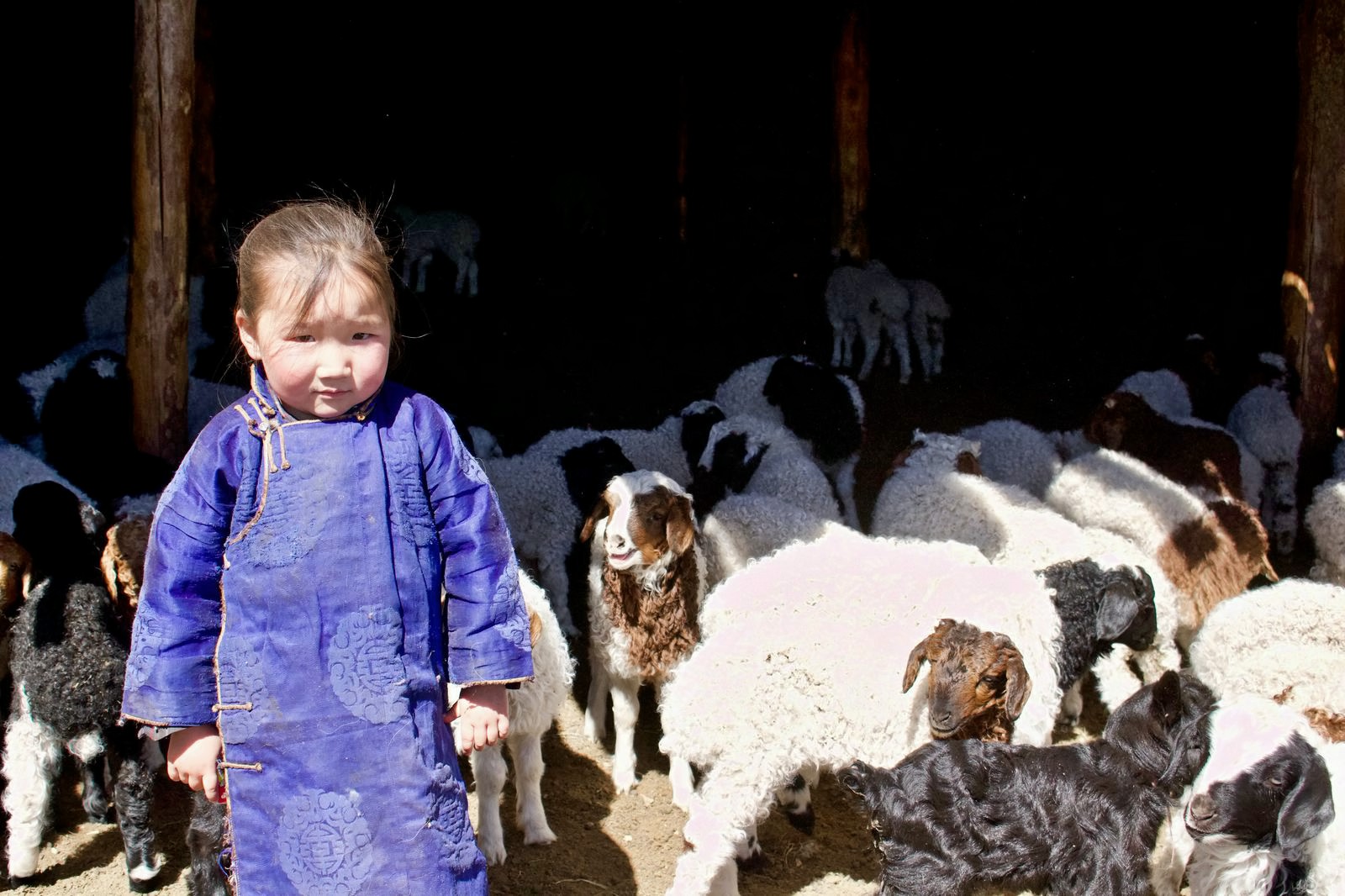 Mongolian child